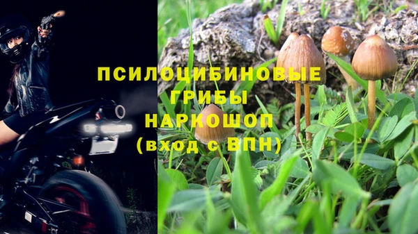 mdpv Бородино