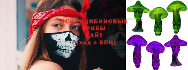 mdpv Бородино