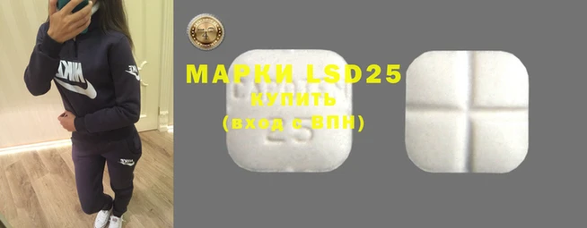 mdpv Бородино