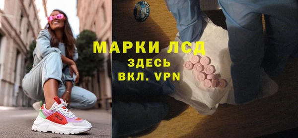 mdpv Бородино