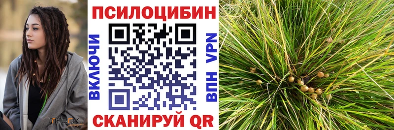 Галлюциногенные грибы Psilocybine cubensis Талдом